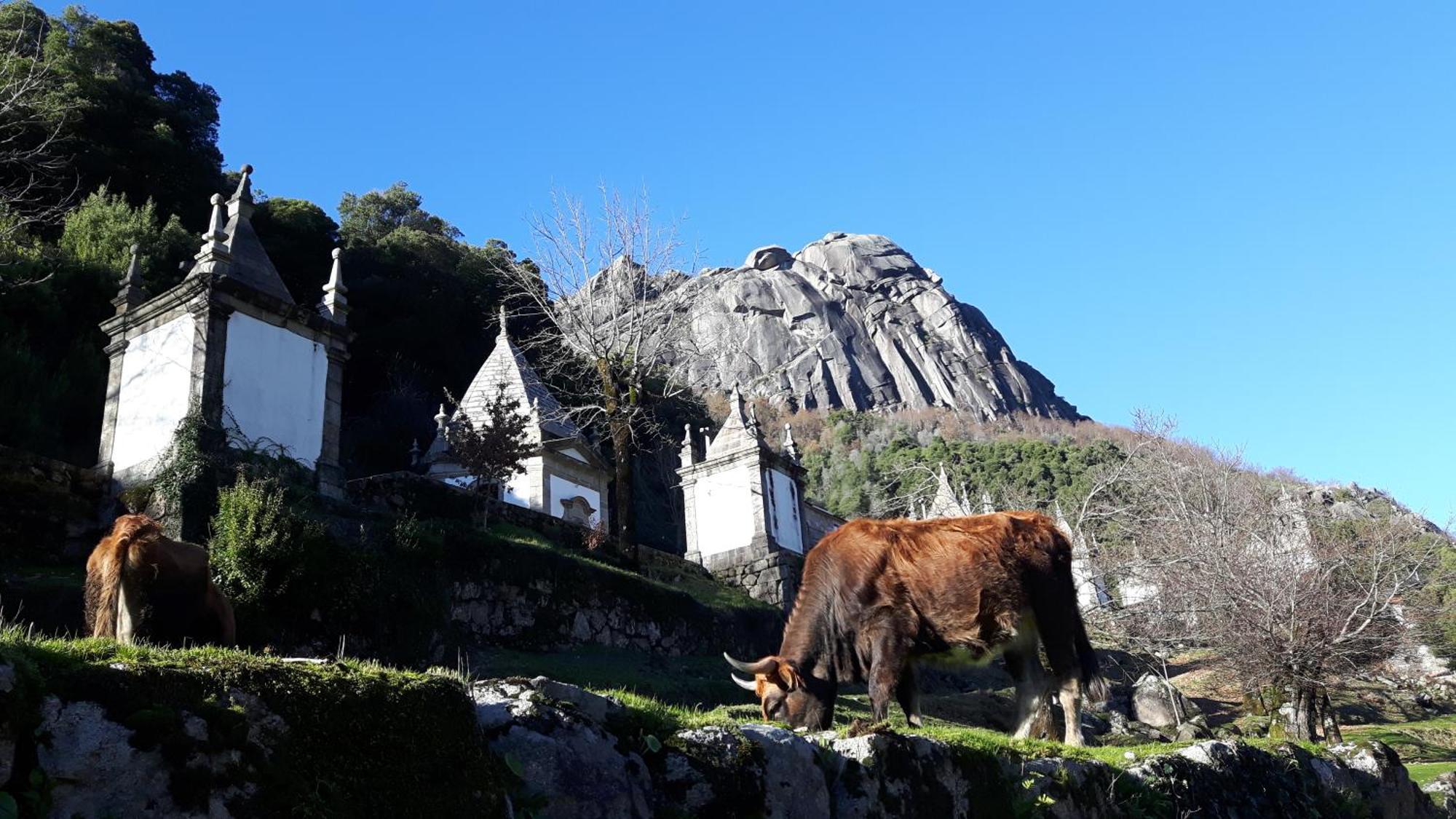 Penedino Mountain Cottage Arcos de Valdevez Exterior foto