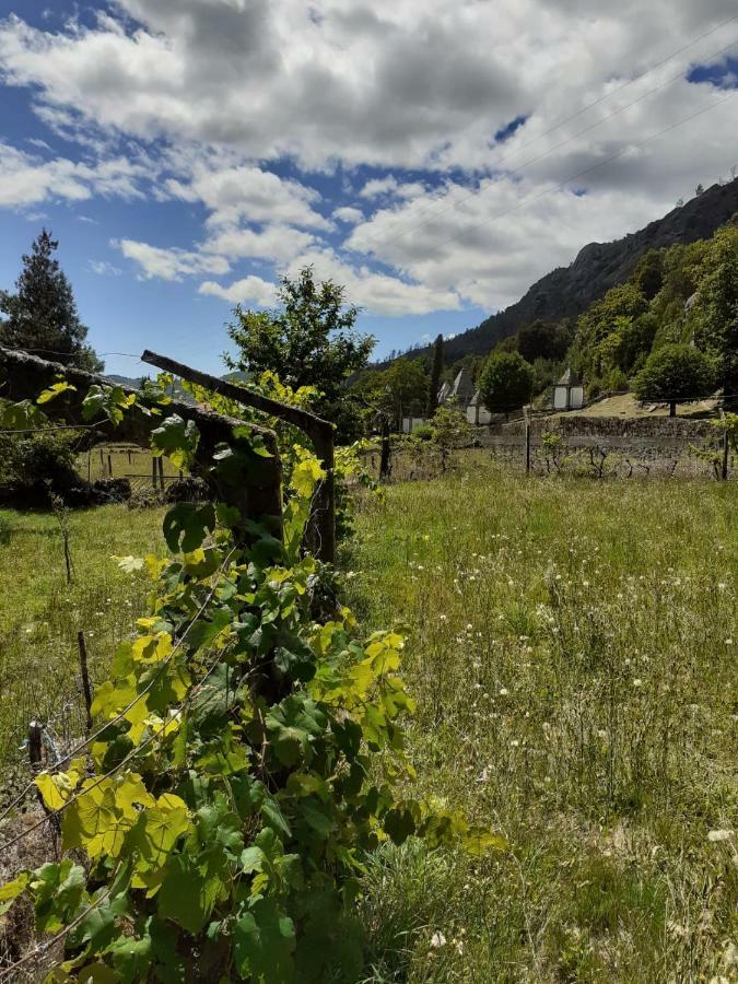 Penedino Mountain Cottage Arcos de Valdevez Exterior foto